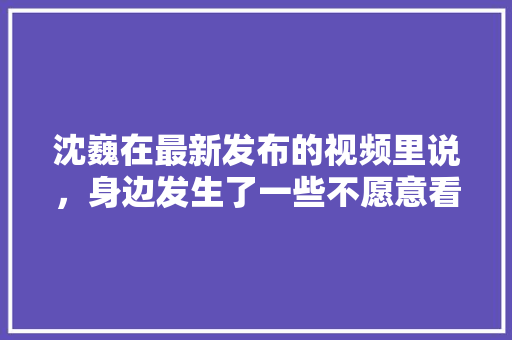 沈巍在最新发布的视频里说，身边发生了一些不愿意看到的事，你认为是什么事？有何影响，广州公务员题目