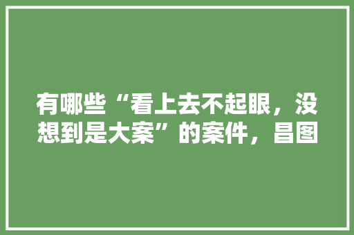 有哪些“看上去不起眼，没想到是大案”的案件，昌图县司法公务员考试题及答案 公考知识