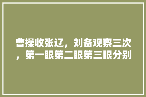 曹操收张辽，刘备观察三次，第一眼第二眼第三眼分别什么意思，曹操刘备类比推理 公考知识
