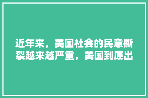 近年来，美国社会的民意撕裂越来越严重，美国到底出了什么病根子，公务员考试题解答 大学排名