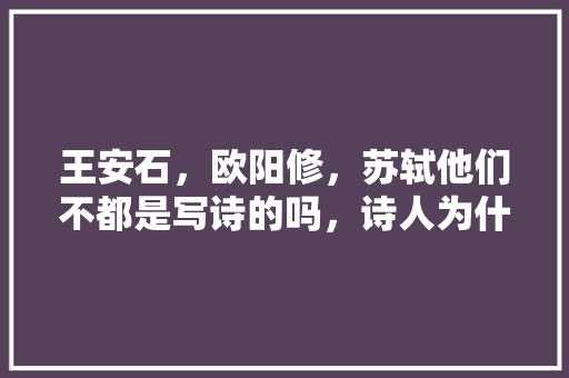 王安石，欧阳修，苏轼他们不都是写诗的吗，诗人为什么有能力做官治理国家，石城公务员考试题及答案 公考知识