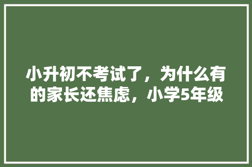 小升初不考试了，为什么有的家长还焦虑，小学5年级公务员考试题目及答案 教育科普