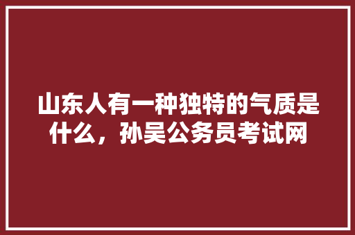 山东人有一种独特的气质是什么，孙吴公务员考试网 大学排名