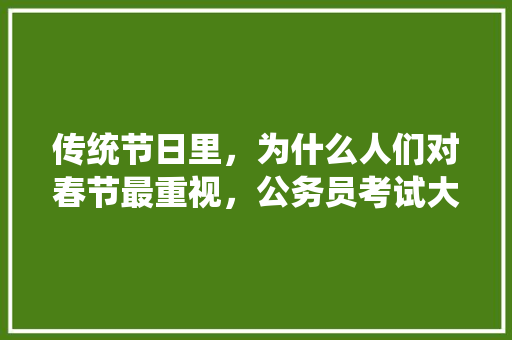 传统节日里，为什么人们对春节最重视，公务员考试大题答题模板 公考知识