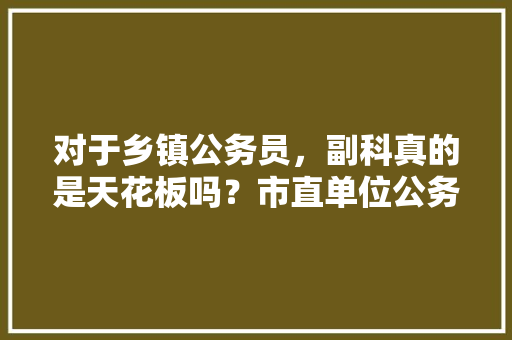 对于乡镇公务员，副科真的是天花板吗？市直单位公务员起点如何，长寿区公务员考试 公考知识