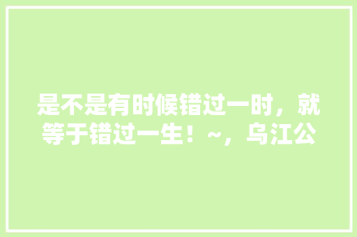 是不是有时候错过一时，就等于错过一生！~，乌江公务员考试题目及答案 大学排名