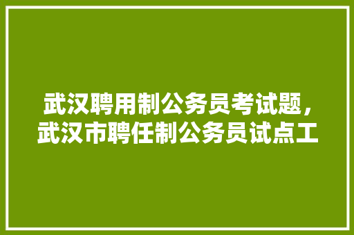 武汉聘用制公务员考试题，武汉市聘任制公务员试点工作管理。 公考知识