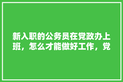 新入职的公务员在党政办上班，怎么才能做好工作，党政公务员考试题库 建筑考试