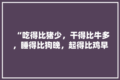 “吃得比猪少，干得比牛多，睡得比狗晚，起得比鸡早”，中国职场为什么热衷于加班，公务员考试题猪猫鸭鹰 建筑考试