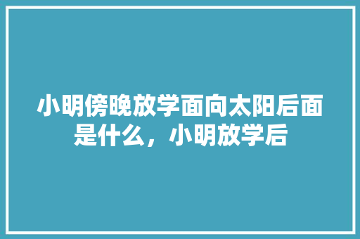 小明傍晚放学面向太阳后面是什么，小明放学后 教育科普