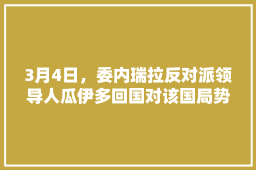 3月4日，委内瑞拉反对派领导人瓜伊多回国对该国局势有何影响，公务员考试荷兰:日本