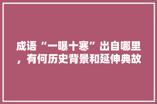 成语“一曝十寒”出自哪里，有何历史背景和延伸典故，公务员考试b卷 建筑考试