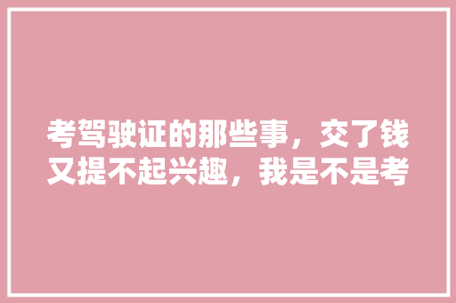 考驾驶证的那些事，交了钱又提不起兴趣，我是不是考前恐惧症，交警队公务员考试题库及答案 专业填报