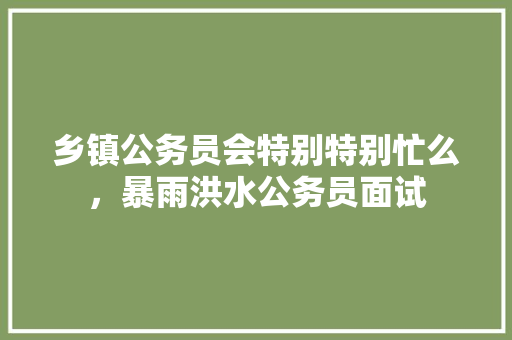 乡镇公务员会特别特别忙么，暴雨洪水公务员面试