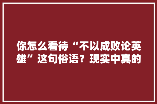 你怎么看待“不以成败论英雄”这句俗语？现实中真的是这样的吗， 大学排名