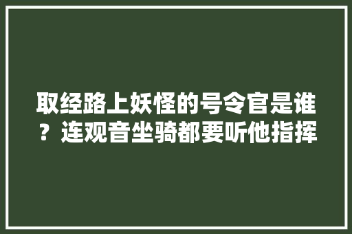 取经路上妖怪的号令官是谁？连观音坐骑都要听他指挥，公务员考试唐僧 公考知识