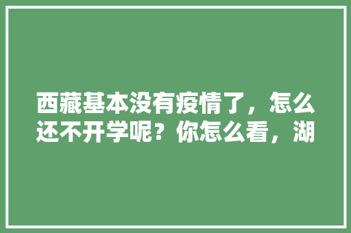 西藏基本没有疫情了，怎么还不开学呢？你怎么看，湖北随州公务员考试题目及答案