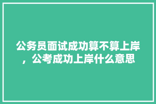 公务员面试成功算不算上岸，公考成功上岸什么意思 大学排名