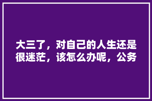 大三了，对自己的人生还是很迷茫，该怎么办呢，公务员反面案例 公考知识