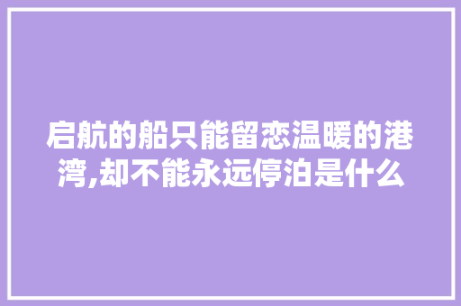 启航的船只能留恋温暖的港湾,却不能永远停泊是什么意思，港湾停泊类比推理 公考知识