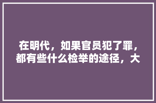 在明代，如果官员犯了罪，都有些什么检举的途径，大明王朝贴吧