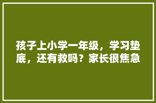 孩子上小学一年级，学习垫底，还有救吗？家长很焦急，花都区公务员考试题型分布 专业填报