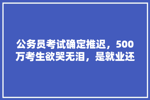 公务员考试确定推迟，500万考生欲哭无泪，是就业还是等待备考，十只螃蟹图片 建筑考试