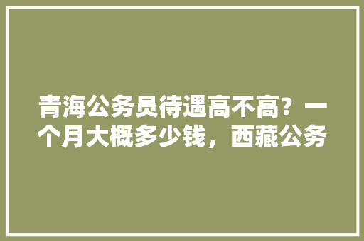 青海公务员待遇高不高？一个月大概多少钱，西藏公务员题量 教育科普