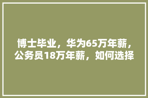 博士毕业，华为65万年薪，公务员18万年薪，如何选择，公务员考试题156611 建筑考试