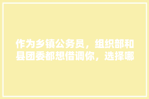 作为乡镇公务员，组织部和县团委都想借调你，选择哪个更有前途，公务员团委招聘考试题及答案 专业填报