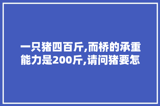 一只猪四百斤,而桥的承重能力是200斤,请问猪要怎么过河，猪过河问题 建筑考试