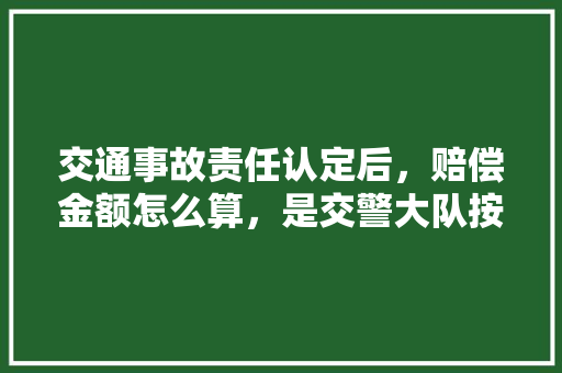 交通事故责任认定后，赔偿金额怎么算，是交警大队按主次要责任来划分吗，解忧大队奇葩试卷答案 公考知识