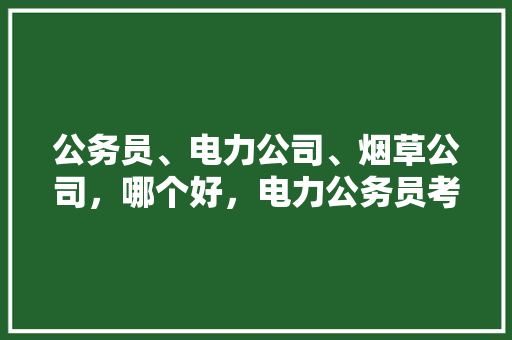 公务员、电力公司、烟草公司，哪个好，电力公务员考试题目及答案 教育科普