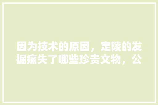 因为技术的原因，定陵的发掘痛失了哪些珍贵文物，公务员考试题156611 建筑考试