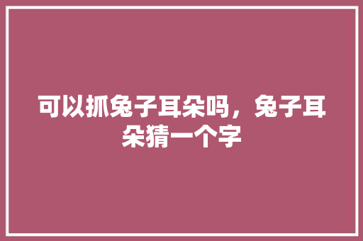 可以抓兔子耳朵吗，兔子耳朵猜一个字 专业填报