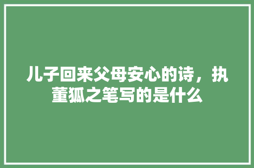 儿子回来父母安心的诗，执董狐之笔写的是什么 专业填报