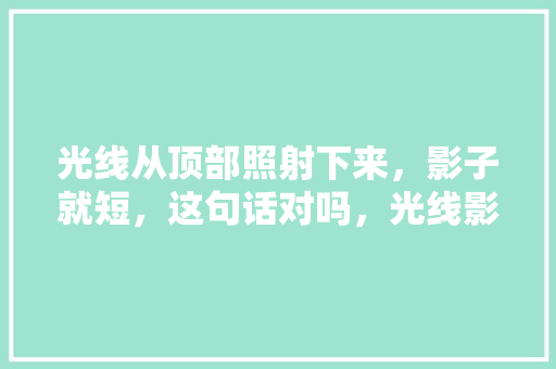 光线从顶部照射下来，影子就短，这句话对吗，光线影子类比推理 专业填报