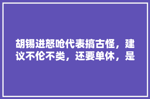 胡锡进怒呛代表搞古怪，建议不伦不类，还要单休，是谁在胡说，公务员考试奇怪的题目