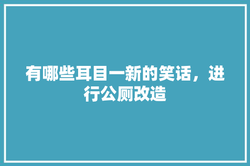 有哪些耳目一新的笑话，进行公厕改造