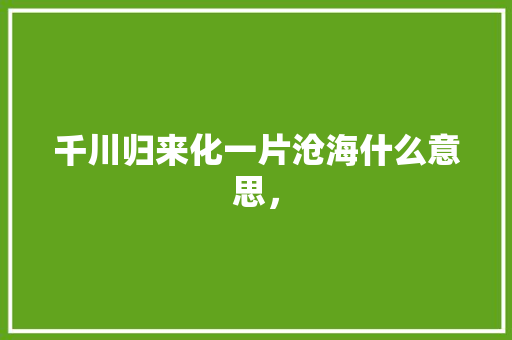 千川归来化一片沧海什么意思， 大学排名