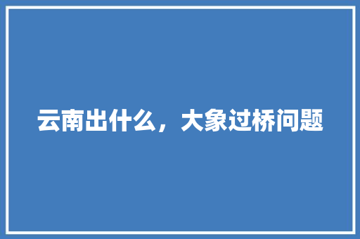 云南出什么，大象过桥问题 专业填报