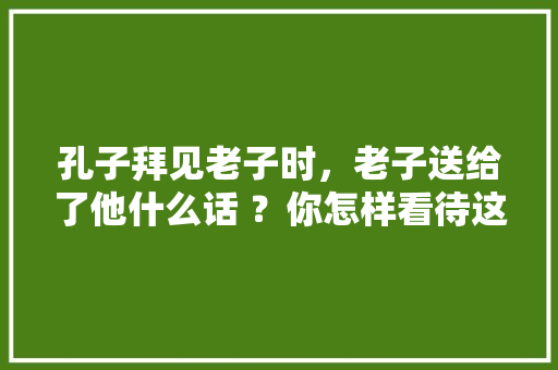 孔子拜见老子时，老子送给了他什么话 ？你怎样看待这些话，公务员考试列题 教育科普