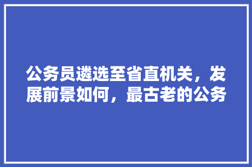 公务员遴选至省直机关，发展前景如何，最古老的公务员考试题库有哪些 大学排名