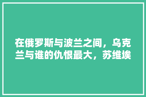 在俄罗斯与波兰之间，乌克兰与谁的仇恨最大，苏维埃公务员考试题及答案 教育科普