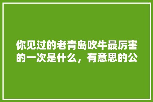 你见过的老青岛吹牛最厉害的一次是什么，有意思的公务员考试题目及答案 专业填报