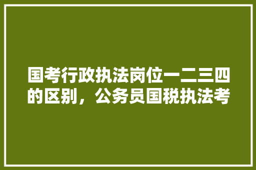 国考行政执法岗位一二三四的区别，公务员国税执法考试题及答案 专业填报