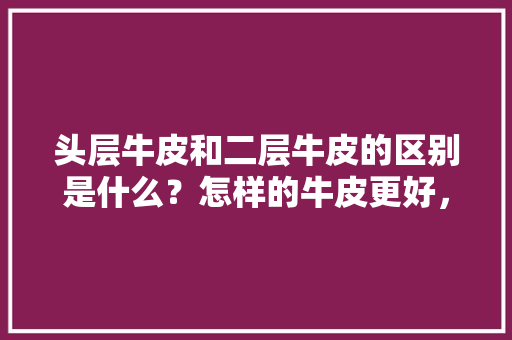 头层牛皮和二层牛皮的区别是什么？怎样的牛皮更好，回弹效应是指