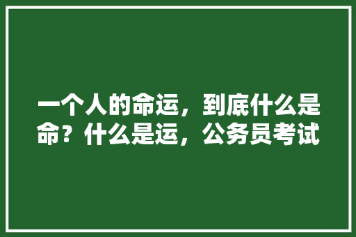 一个人的命运，到底什么是命？什么是运，公务员考试题影子问题答案 公考知识