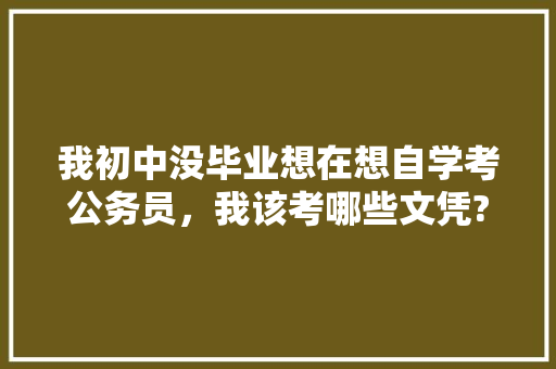 我初中没毕业想在想自学考公务员,我该考哪些文凭?该怎么学习,实在是不想再这样混下去了。跪求大家帮忙,公务员考初中知识 公考知识 我初中没毕业想在想自学考公务员,我该考哪些文凭?该怎么学习,实在是不想再这样混下去了。跪求大家帮忙,公务员考初中知识 公考知识