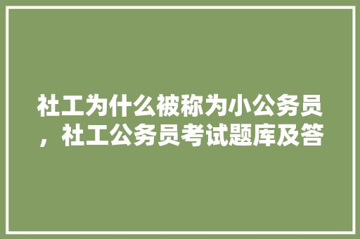 社工为什么被称为小公务员，社工公务员考试题库及答案 大学排名